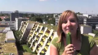 Lena Frank - Junge Gr&uuml;ne Bern