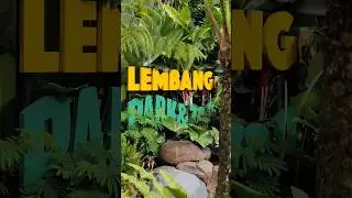 EXPLORE LEMBANG PARK & ZOO #lembang #parkzoo #lembangparkzoo #fyp #viral