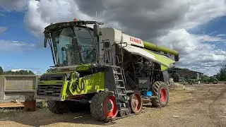 Codzienna Obsługa Claas Lexion… i Rozerwany Wałek I Łotwa 🇱🇻 #10 l 