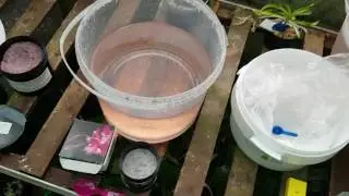 Testing 3 batches of Rain Mix(1)