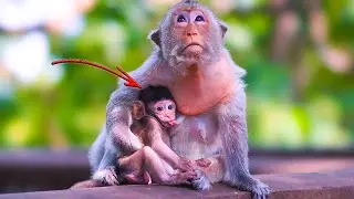Nurturing Berila: A Berry Special Bonding Time