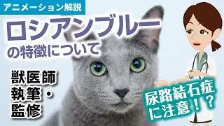 ロシアンブルーの特徴や気を付けたい病気など【獣医師執筆監修】