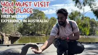 First Weekend in Adelaide | Best place to Visit in Adelaide | Student Life | Australia student Vlog