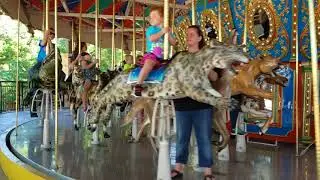 San Antonio Zoo 2017