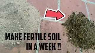 How to make any soil fertile in a week !!! |  Tips to make your own potting soil