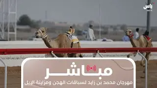 مباشر | مهرجان محمد بن زايد لسباقات الهجن ومزاينة الإبل