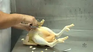 FRANGO CAIPIRA | Agroindústria!