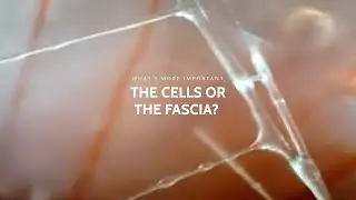 Healthy Fascia = Thriving Cells 🙌 | FasciaBlaster