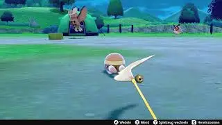 Pok&eacute;mon Sword/Shield - Playing Feather Wand with Mabula / Grubbin