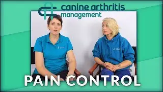 Pain Control | CAM Episode 7