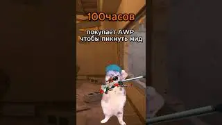 🕊️Добейте 3.5к подписчиков🕊️ #cs2 #csgo #ксгоприколы #wendy51 #windi51