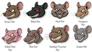 Every RAT Species Explained in 08 Minutes