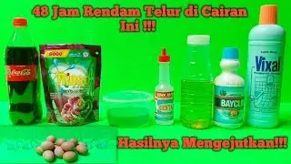 EKSPERIMEN | 48 JAM RENDAM TELUR SAMPAI MATENG #experiment