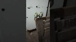 10 de noviembre de 2020