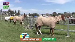 programa 20 de setiembre 2025