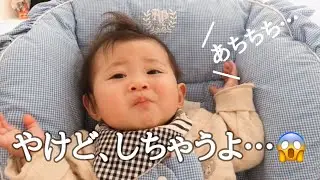 【生後7か月】ママ、フーフーして！？離乳食が熱すぎた…／Baby Food