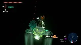 Zelda tears of the kingdom - Exploring Depths with Drone Giant Brightbloom Seed