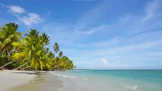Peaceful 4K Ocean & Beach Scenery 🌊 | Cinematic Nature Video with Relaxing Music