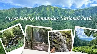 A Scenic Day in Great Smoky Mountains National Park - Waterfalls, Hikes, Drives, and a Bear 