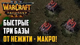 Быстрые три базы от Нежити - Макро: Starbuck (Ud) vs Jens (Orc) Warcraft 3 Reforged