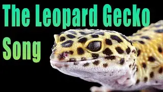 The Leopard Gecko Song || Reptile Raps