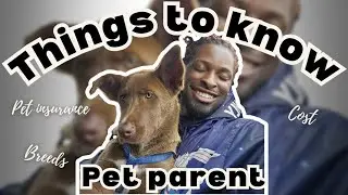 BEFORE YOU GET A DOG WATCH THIS!! Cost, Changes, Pet Insurance