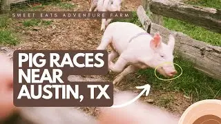 Family Friendly Adventure Farm | Best Weekend Activities