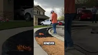 Why Did This Man Burn His Lawn? 🔥🌱 You Will Be Surprised Why! 😲