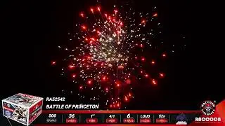 Battle of Princeton - 12817 - Raccoon - 500 Gram Repeater Cases - Wholesale Fireworks - WFBOOM.COM