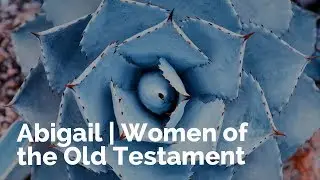 Abigail | Women of the Old Testament
