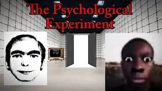 THE MOST SCARED I HAVE EVER BEEN | The Psychological Experiment Episode 3