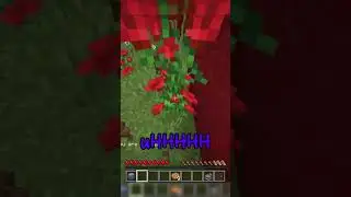 FIND THE BUTTON #minecraft #hunter #maze