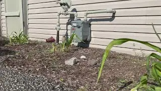 'People say enough is enough' -- Citizens Utility Board fighting record-breaking gas rate hike