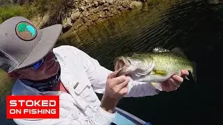 Bass Fishing using Live Shad Part 1 | Stoked On Fishing - Full Episode |