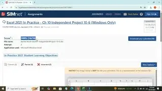 Excel 2021 In Practice - Chapter 10 Independent Project 10-6 (Windows Only)SIMnet Project Help Guide