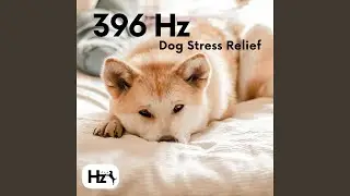 396 Hz Dog Stress Relief (And Anxiety)