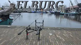 Allround angeln in Elburg #angel #fishing #deadbait #hecht #zander #Barsch #G&uuml;nni 
