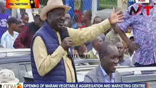 TEARS!! TOO BAD AS RAILA FINALLY EXPOSES DEEP SECRETS ON AU JOB