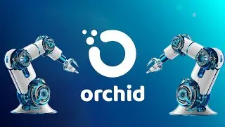 Что такое Orchid? - Объяснение OXT #oxt #orchid #oxtcoin