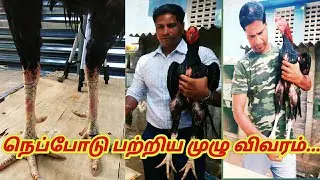 காலில் ஏற்படும் நெப்போடு பற்றிய முழு விவரம்...