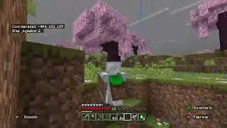 Minecraft_20251231160622