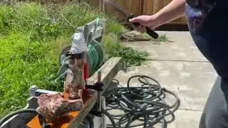 2023 Swamp Rat Free Rein cut test