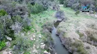ربيع مركز باشوت بمحافظه بلقرن غرب سبت العلايه ١٤٤٠/٤/٢٣ الموافق ٣٠ ديسمبر٢٠١٨
