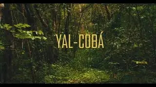 Yal-cob&aacute; | Blackmagic 6K Pro | Contax Zeiss 28mm 2.8 | Vintage Lens