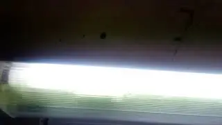 Wyeksplatowana świetl&oacute;wka Polamp