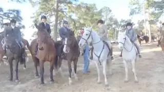 Overlook Farm at the 2018 Sedgefield Performance Trials Hoffman NC