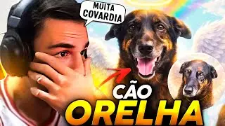 SUPER XAND&Atilde;O SE REVOLTOU REAGINDO AO CASO DO C&Atilde;O ORELHA!