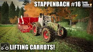 Harvesting Carrots, Selling Onions & Potatoes - Stappenbach #16 Farming Simulator 19 Timelapse