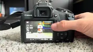 How to Display Histograms on the Canon Rebel T7