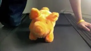 Mr Bacon
